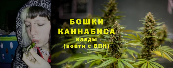стафф Балахна