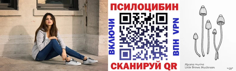 Галлюциногенные грибы ЛСД  где найти наркотики  Злынка 